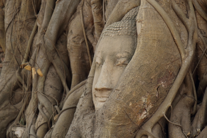 仏像の頭