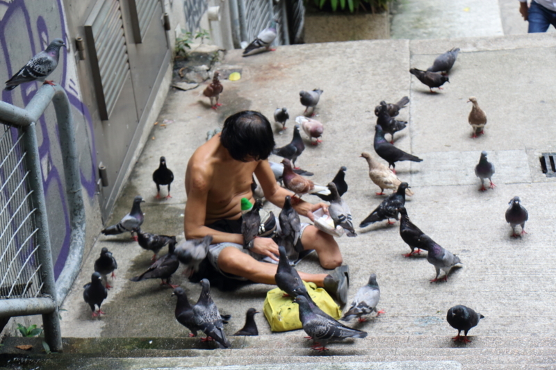 鳥とおじさん