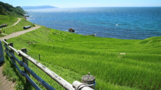 ロイヤルホテル能登 石川県の大自然の中にある癒しの宿へ宿泊してみた【宿泊レビュー】