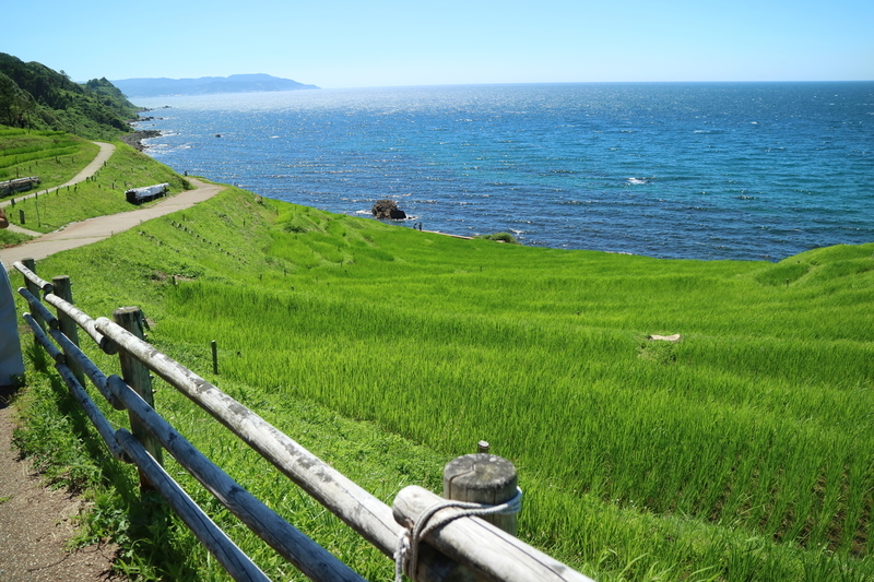 ロイヤルホテル能登 石川県の大自然の中にある癒しの宿へ宿泊してみた【宿泊レビュー】