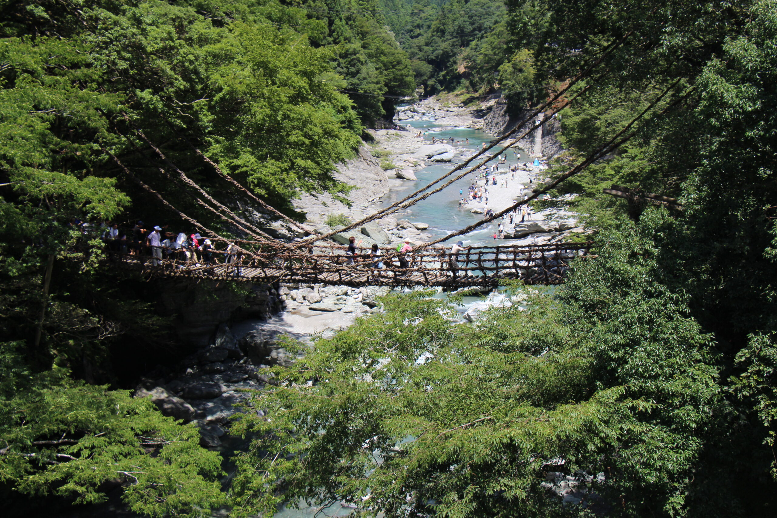 祖谷のかずら橋