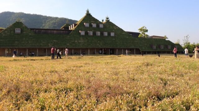 ラコリーナ近江八幡 美味しいバウムクーヘンが食べれる＆おしゃれな写真が撮れる夢のスポットへ