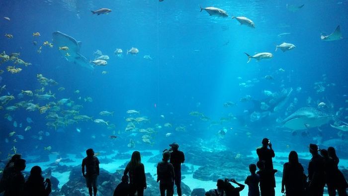 水族館