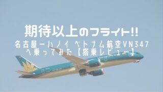 名古屋ーハノイ ベトナム航空VN347へ乗ってみた