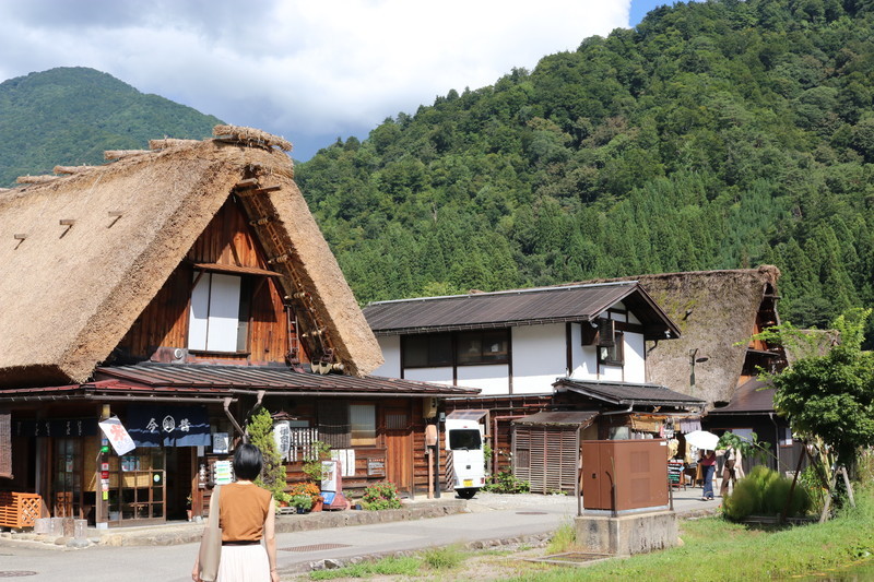 世界遺産「白川郷」合掌造りの様子