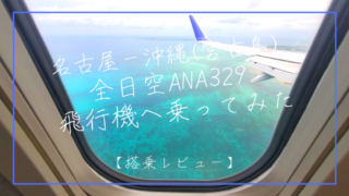全日空ANA329 名古屋ー沖縄の宮古島行き 宮古ブルーのリゾート地への飛行機に乗ってみた【搭乗レビュー】