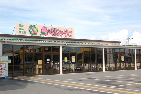 宮古島の道の駅「島の駅みやこ」へ沖縄名物を求めて行ってみた