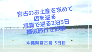 沖縄県宮古島 宮古のお土産を求めて店を巡る 写真で巡る2泊3日擬似旅行を体験 3日目最終日