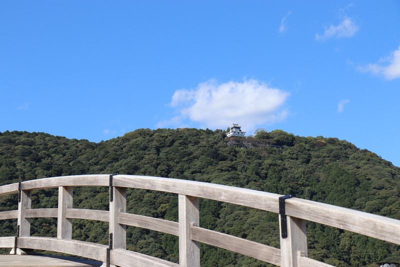 錦帯橋から城を撮る