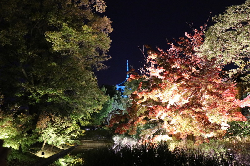 京都 世界遺産「東寺」と紅葉とライトアップ