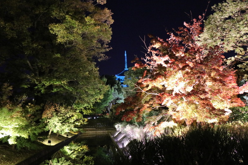京都 世界遺産「東寺」と紅葉とライトアップ