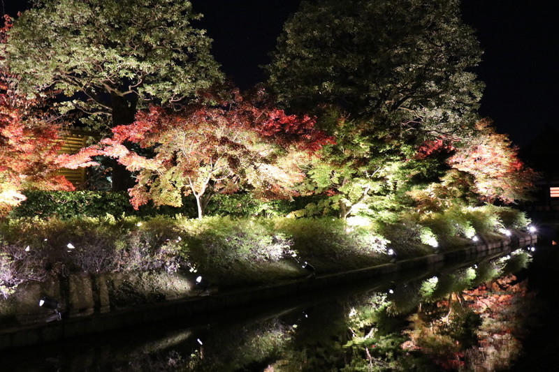 京都 世界遺産「東寺」のライトアップは毎年人気スポット