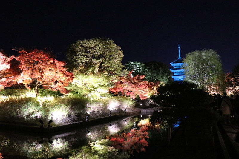 京都 世界遺産「東寺」と紅葉とライトアップ