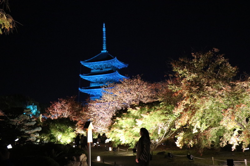 京都 世界遺産「東寺」と紅葉とライトアップ