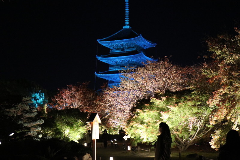 京都 世界遺産「東寺」紅葉の季節は外せないスポットのひとつ