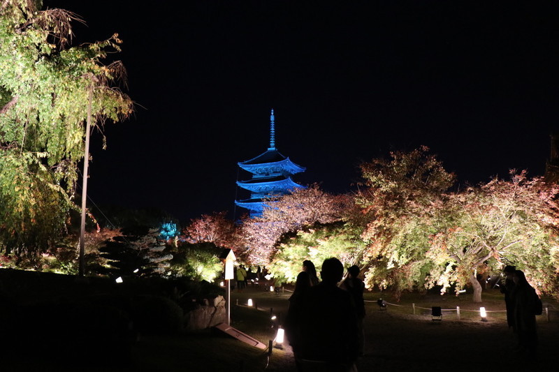 京都 世界遺産「東寺」のライトアップ