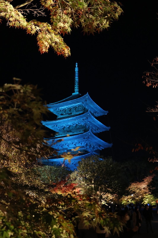 京都 世界遺産「東寺」のライトアップ