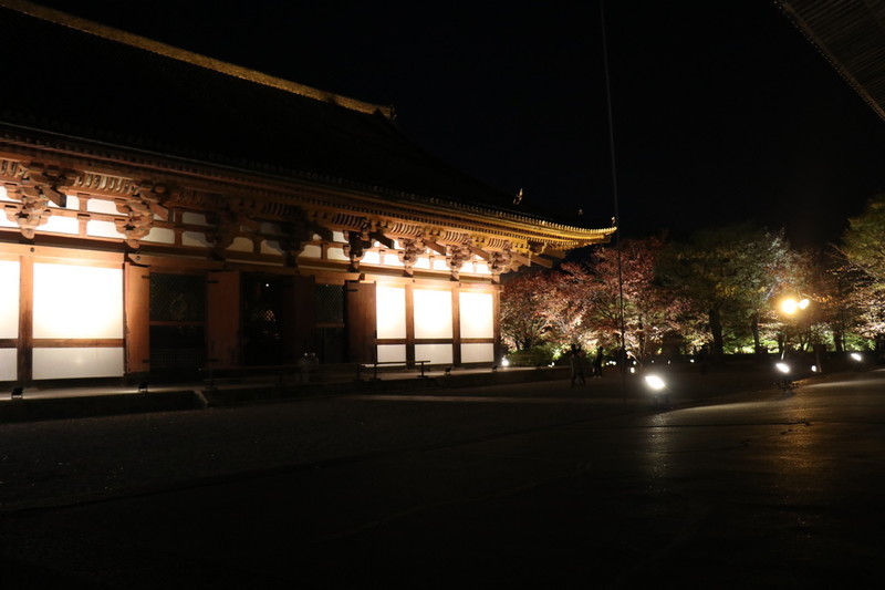 京都 世界遺産「東寺」のライトアップ