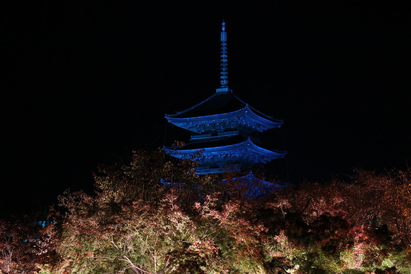 京都 世界遺産「東寺」のライトアップ
