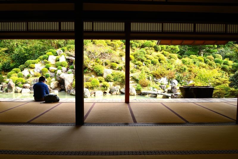 京都府 智積院「あじさい苑」