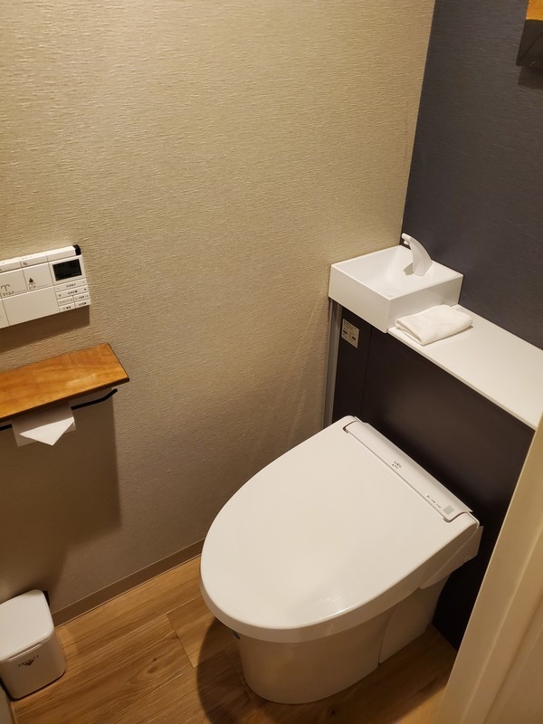 ワットホテル＆スパ飛騨高山エコノミーダブルルームのバスルーム・トイレ