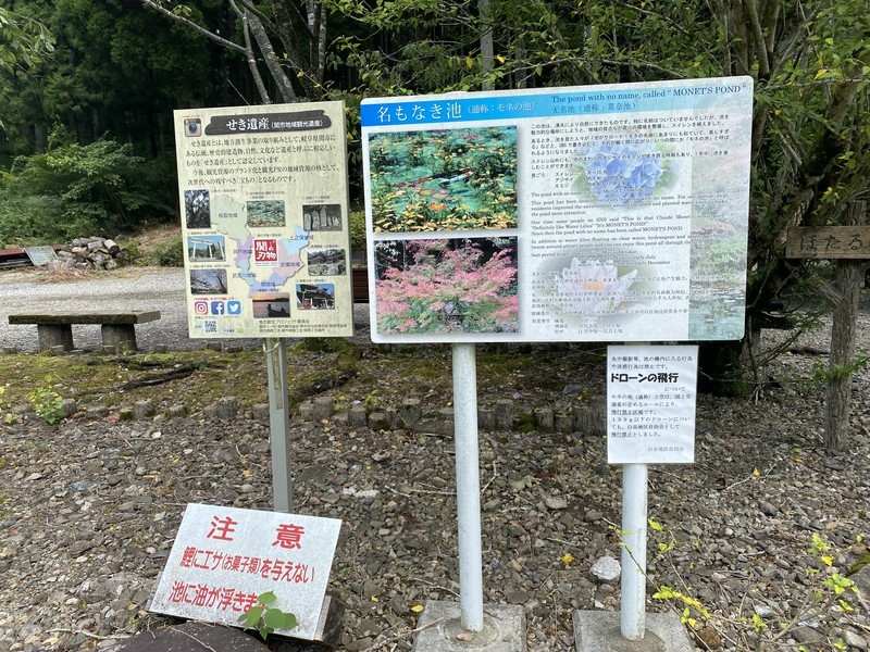 岐阜 モネの池