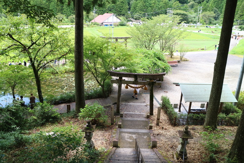 モネの池だけじゃなく根道神社も