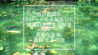岐阜県関市 モネの池 インスタで一気に人気になったまるでクロード・モネが描いた睡蓮の池に行ってみた