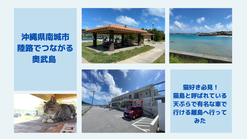 沖縄県南城市 奥武島は猫好き必見！ネコ島と呼ばれている天ぷらで有名な車で行ける離島へ行ってみた