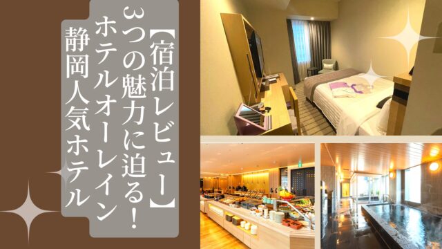 Hotel Ole Inn accommodation review in Shizuoka