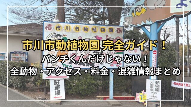 Ichikawa City Zoo visitor guide