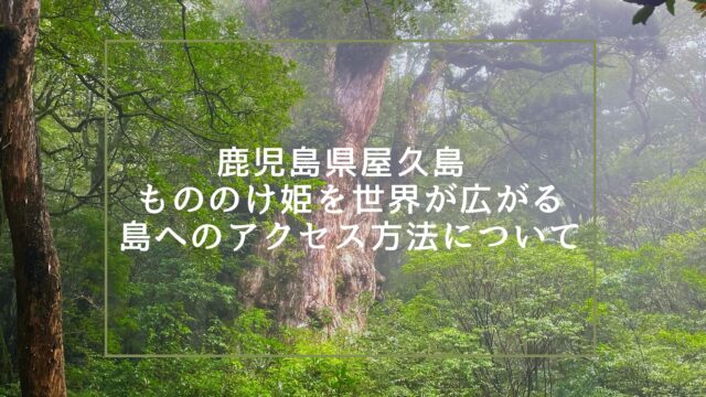 Transport to Yakushima by plane and ferry