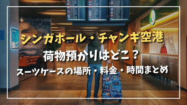 Singapore Changi Airport luggage storage guide