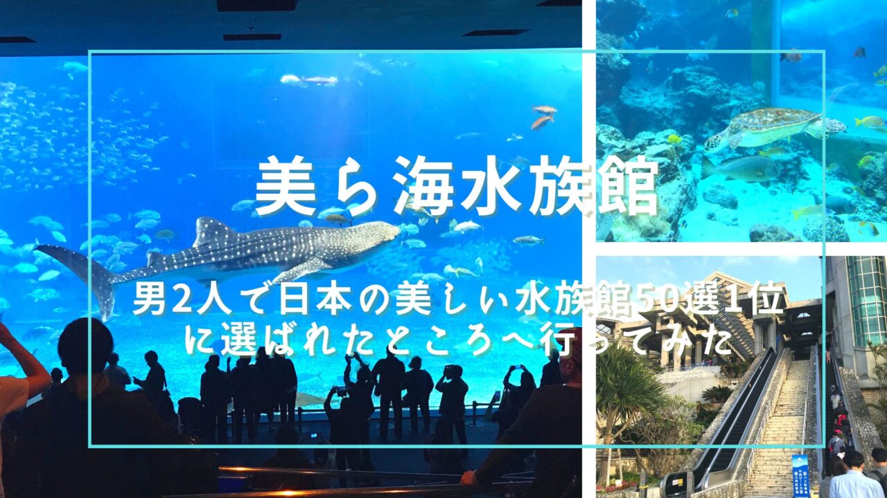 Okinawa Churaumi Aquarium visitor guide