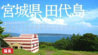 Manga Island accommodation on Tashirojima