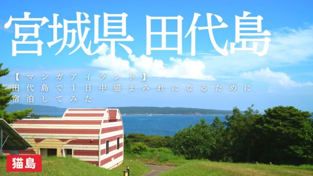 Manga Island accommodation on Tashirojima