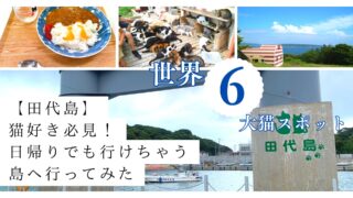Tashirojima cat island sightseeing guide