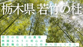 Wakatake no Mori Wakayama Farm visitor guide