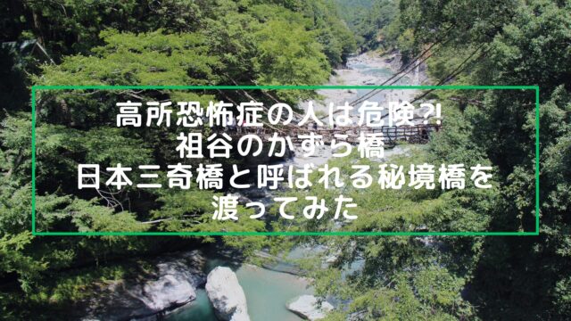 Iya Kazurabashi vine bridge in Tokushima
