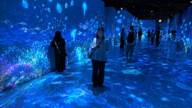Wonderia Yokohama visitor guide