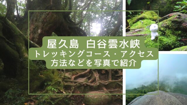 Shiratani Unsuikyo forest trekking in Yakushima